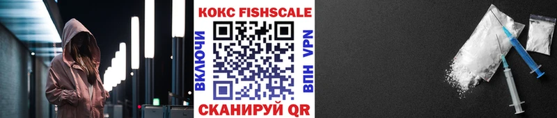 ссылка на мегу зеркало сколько стоит Кириши Cocaine Fish Scale