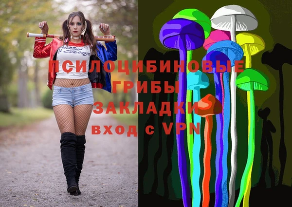 стафф Богородицк