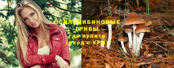 ECSTASY Белокуриха