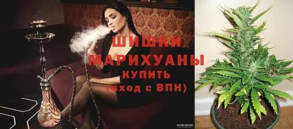 стафф Богородицк